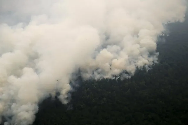 An aerial view of smoking rising from a burning forest at Ogan Komering Ulu area in Indonesia's south Sumatra province September 10, 2015. (Photo by Reuters/Beawiharta)