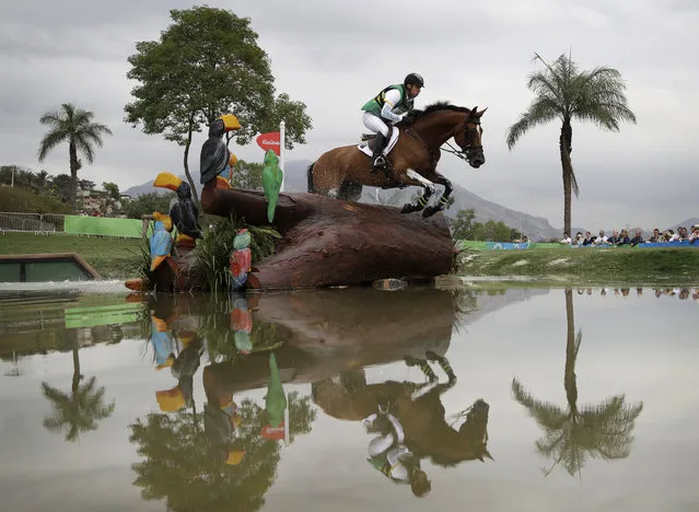 Sam Griffiths, of Australia, competes on Paulank Brockagh in the equestrian eventing cross country phase at the 2016 Summer Olympics in Rio de Janeiro, Brazil, Monday, August 8, 2016. (Photo by John Locher/AP Photo)