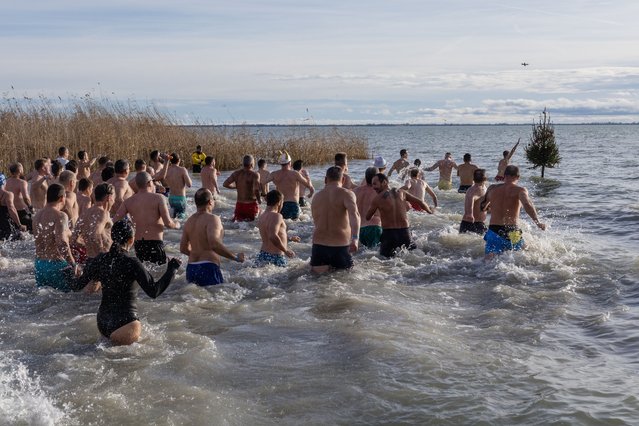 People wade into the chilly water of Lake Balaton during the annual New Year's Swim in Szigliget, Hungary, 01 January 2024. (Photo by Tibor Katona/EPA/EFE)