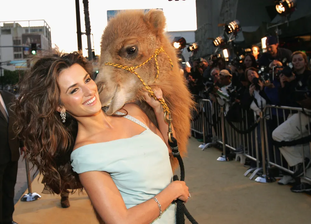 Penelope Cruz Through the Years