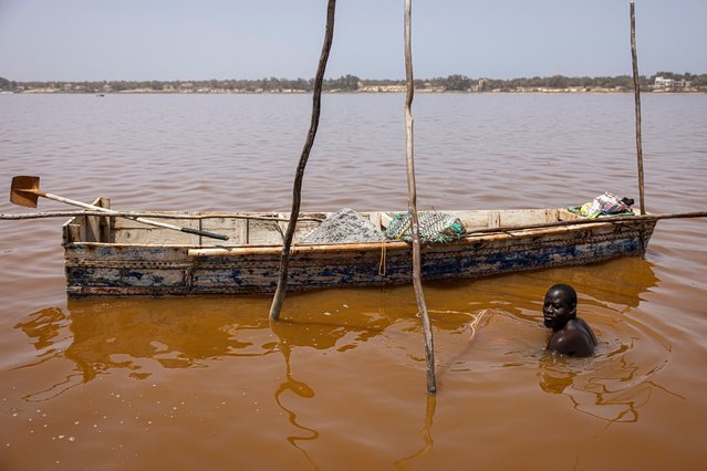 A salt harvester looks on as he scrapes with his shovel the salt covered crust of the bottom of Lake Retba, known as the Pink Lake, in Senegal on March 19, 2025. Under the delighted gaze of tourists and merchants, Senegal's most famous lake recently regained its iconic pink color, which had been dulled for three long years. The news of its return sparked excitement and a renewed socioeconomic life around one of the main attractions of this tourist country But in late 2022, rare and severe flooding hit the region, likely exacerbated by global warming, according to scientists interviewed by AFP at the time, disrupting the lake's ecological balance. (Photo by Patrick Meinhardt/AFP Photo)