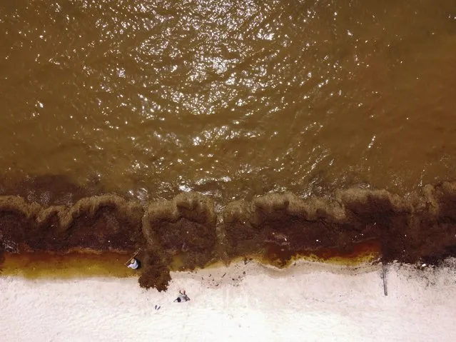 Sargassum seaweed colors the water brown and covers the beach in the Bay of Soliman, north of Tulum, Quintana Roo state, Mexico, where workers hired by local residents remove it by hand, Wednesday, August 3, 2022. (Eduardo Verdugo/AP Photo)
