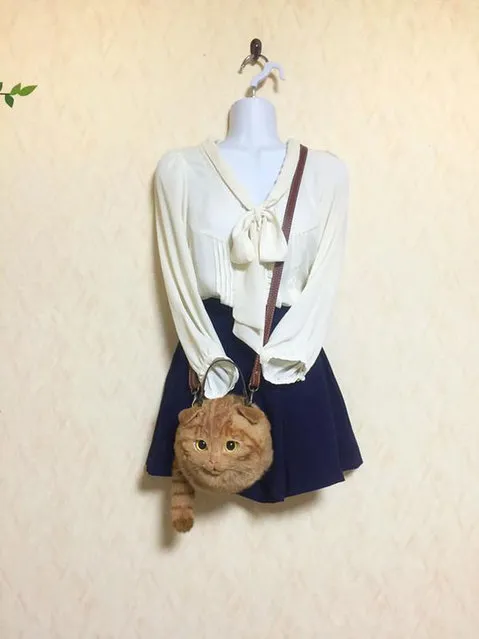 Cat Bags By Pico