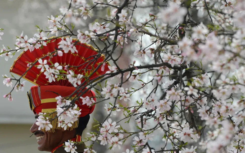 The Week in Pictures: March 16 – March 22, 2013 (175 Photos)