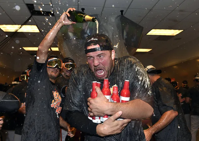 Baltimore Orioles pitcher Tommy Hunter is doused in the visitors' clubhouse after the Orioles defeated the New York Yankees 5-2 in a baseball game to get to the playoffs, Sunday, October 2, 2016, in New York. (Photo by Kathy Kmonicek/AP Photo)