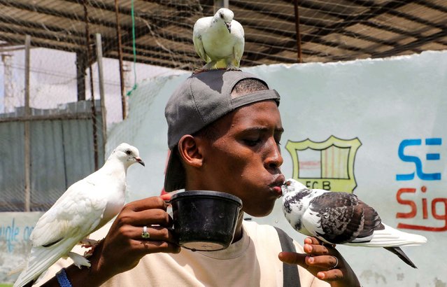 Zakaria Mohamed handles pigeons that he feeds in Yaqshid district of Mogadishu, Somalia on September 17, 2025. (Photo by Feisal Omar/Reuters)