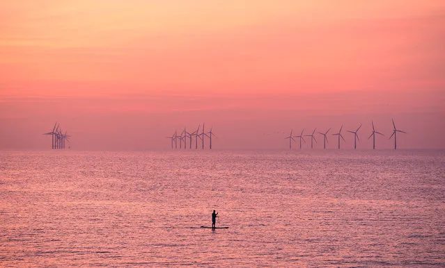 A paddleboarder is pictured on the water near Leasowe at Liverpool Bay in the Irish Sea at sunset on August 15, 2016. (Photo by Paul Ellis/AFP Photo)