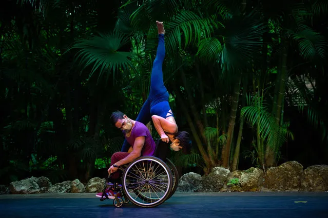 Two members of Karen Peterson and Dancers, Florida's leading physically integrated company, dance during the premiere of the play “Lost and Found” outdoors at Pinecrest Gardens in Miami, Florida, US, 11 April 2021. The group, which includes professional dancers with and without disabilities, tackled this pandemic year in a series of duo ideas that go beyond what dance can be and is how we face a global crisis. (Photo by Agencia EFE/Rex Features/Shutterstock)