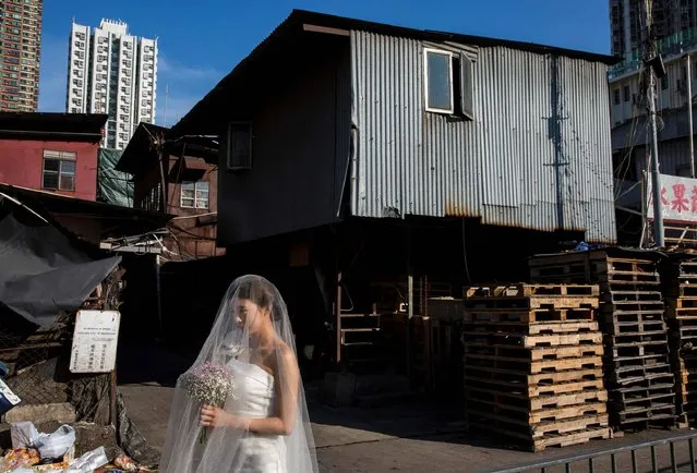 A women poses for wedding photos at the wholesale fruit markets in the Yau Ma Tei district of Hong Kong on December 27, 2016. (Photo by Isaac Lawrence/AFP Photo)