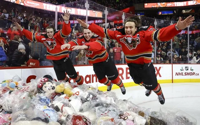 Sean Tschigerl #19 of the Calgary Hitmen, Tyson Galloway #22 of the Calgary Hitmen and David Adaszynski #17 of the Calgary Hitmen jump into the stuffed toys after a goal in the first period on the Prince Albert Raiders during the annual Teddy Bear Toss at the Scotiabank Saddledome on December 03, 2023 in Calgary, Alberta. (Photo by Leah Hennel/Getty Images)