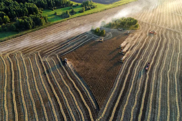 An aerial view shows combines harvesting wheat in a field of the Solgonskoye private farm outside the Siberian village of Talniki in Krasnoyarsk region, Russia September 7, 2018. (Photo by Ilya Naymushin/Reuters)