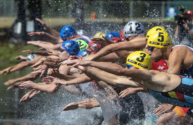 Competitors dive into the water in the elite men's division at the ITU World Triathlon Series in Edmonton, Alberta, Saturday, August 21, 2021. (Photo by Jason Franson/The Canadian Press via AP Photo)