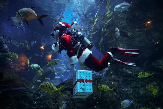 A diver wearing a Santa Claus costume swims with a shoal of fish to welcome the upcoming Christmas at the Sea Life Bangkok Ocean World aquarium in Bangkok, Thailand on December 19, 2023. (Photo by Chalinee Thirasupa/Reuters)