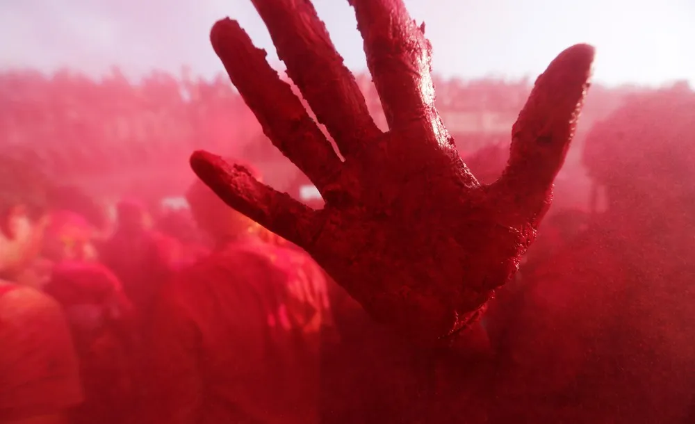 Holi Celebrations in India 2019