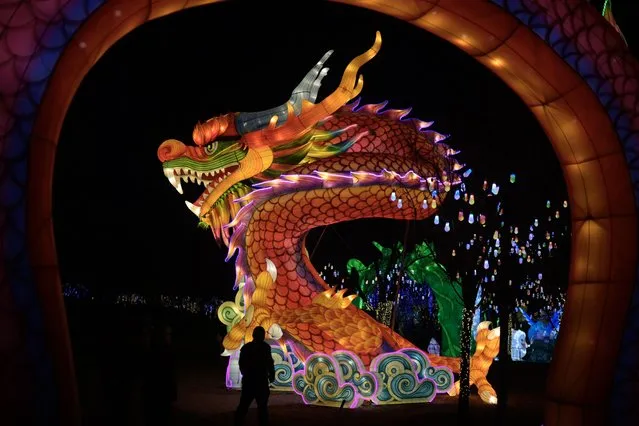 A man walks past a dragon figure at a new year's fair in Beijing on February 4, 2024. (Photo by Pedro Pardo/AFP Photo)