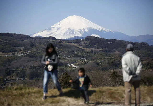 Japan's Mount Fuji is seen covered with snow from Nakai town, Kanagawa prefecture, Japan, March 1, 2016. (Photo by Issei Kato/Reuters)
