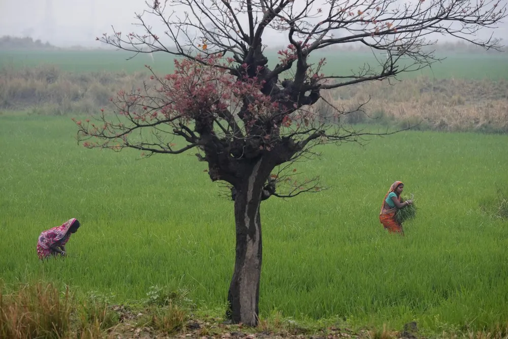 A Look at Life in India, Part 1/2