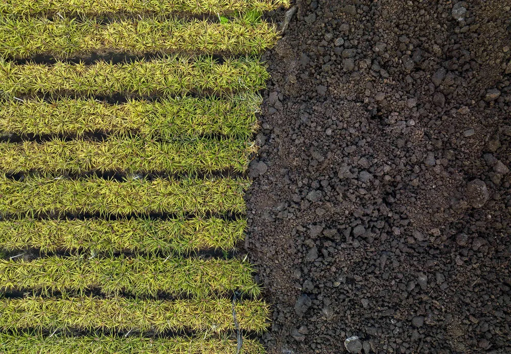 Volcanoes in Past Months