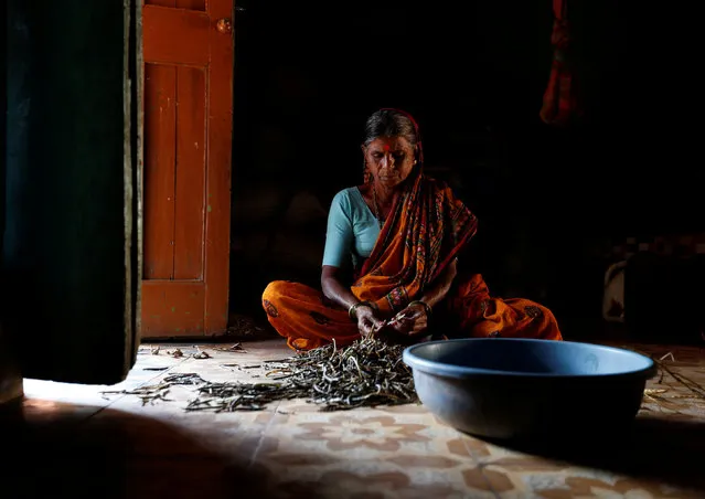 Vanita Dhau, 65, who studies at Aajibaichi Shaala (Grandmothers' School), works inside her house in Fangane village, India, February 20, 2017. (Photo by Danish Siddiqui/Reuters)