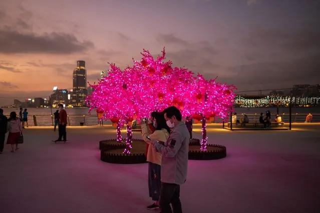 People take photos of a mock peach blossom tree in a park on the Victoria Harbour waterfront in Hong Kong, China, 25 January 2022. The park is decorated with mock peach blossom trees, some of the most popular flowers during Lunar New Year, which falls on 01 February 2022 and celebrates the Year of the Tiger. (Photo by Jerome Favre/EPA/EFE)