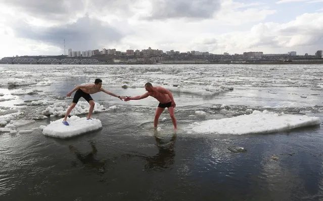 Members of the “Yenisei walruses” winter swimming club, Alexander Alexandrov (R), 39, and Konstantin Kindinov, 15, step from one floe to another during an ice drift on the Yenisei River in Krasnoyarsk, Russia, April 18, 2017. (Photo by Ilya Naymushin/Reuters)