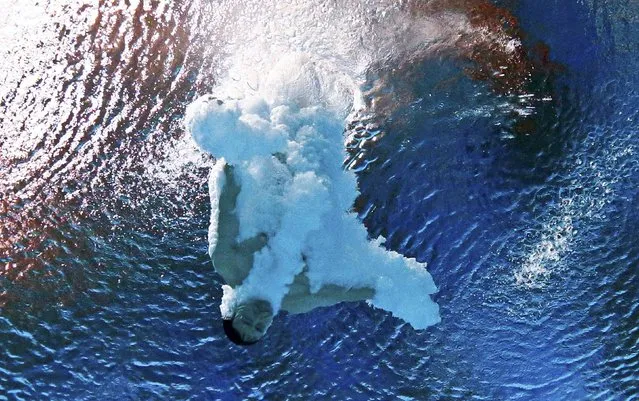 Xie Siyi of China is seen underwater during the mixed team event final at the Aquatics World Championships in Kazan, Russia July 29, 2015. (Photo by Stefan Wermuth/Reuters)