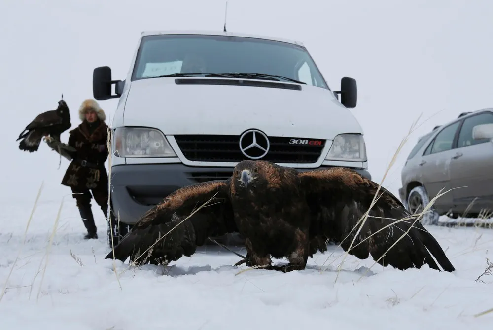 Eagle Hunting in Kazakhstan