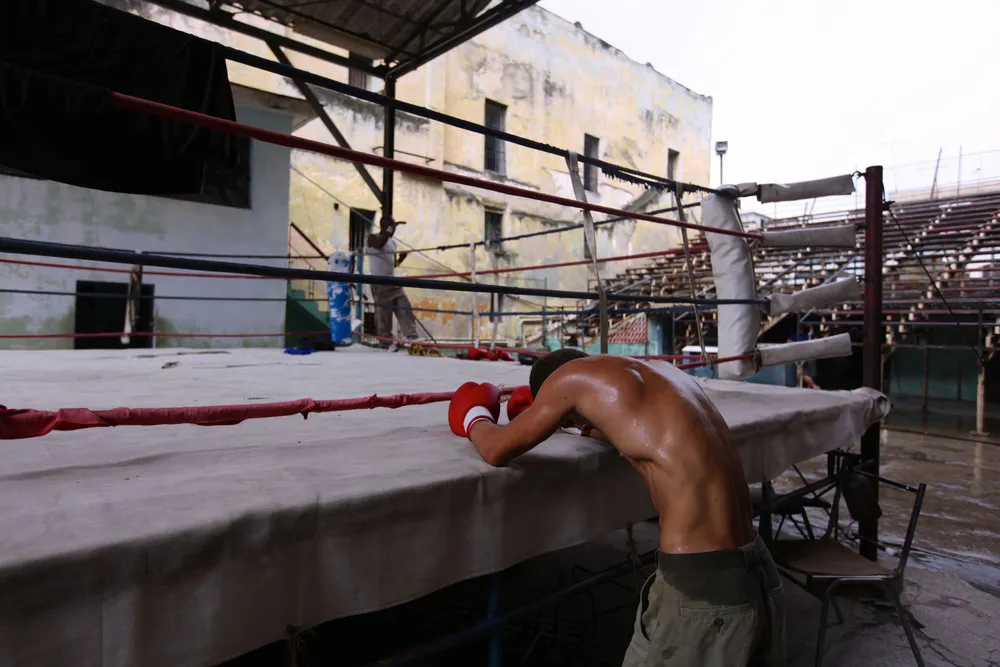 2014 National Geographic Photo Contest, Week 14, Part 1