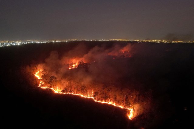 A drone view shows wildfires in an area of Brasilia's National Forest, in Brasilia, Brazil on September 4, 2024. (Photo by Adriano Machado/Reuters)