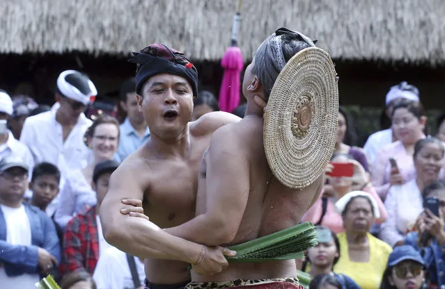 Balinese men fight with sticks wrapped in thorny pandanus leaves during a village festival ceremony in Bali, Indonesia, Tuesday, July 11, 2017. Once a year, during the ritual tournament festival, men of the village fight each other with wads of thorny pandanus leaves as part of a sacrifice to placate the evil spirits. (Photo by Firdia Lisnawati/AP Photo)