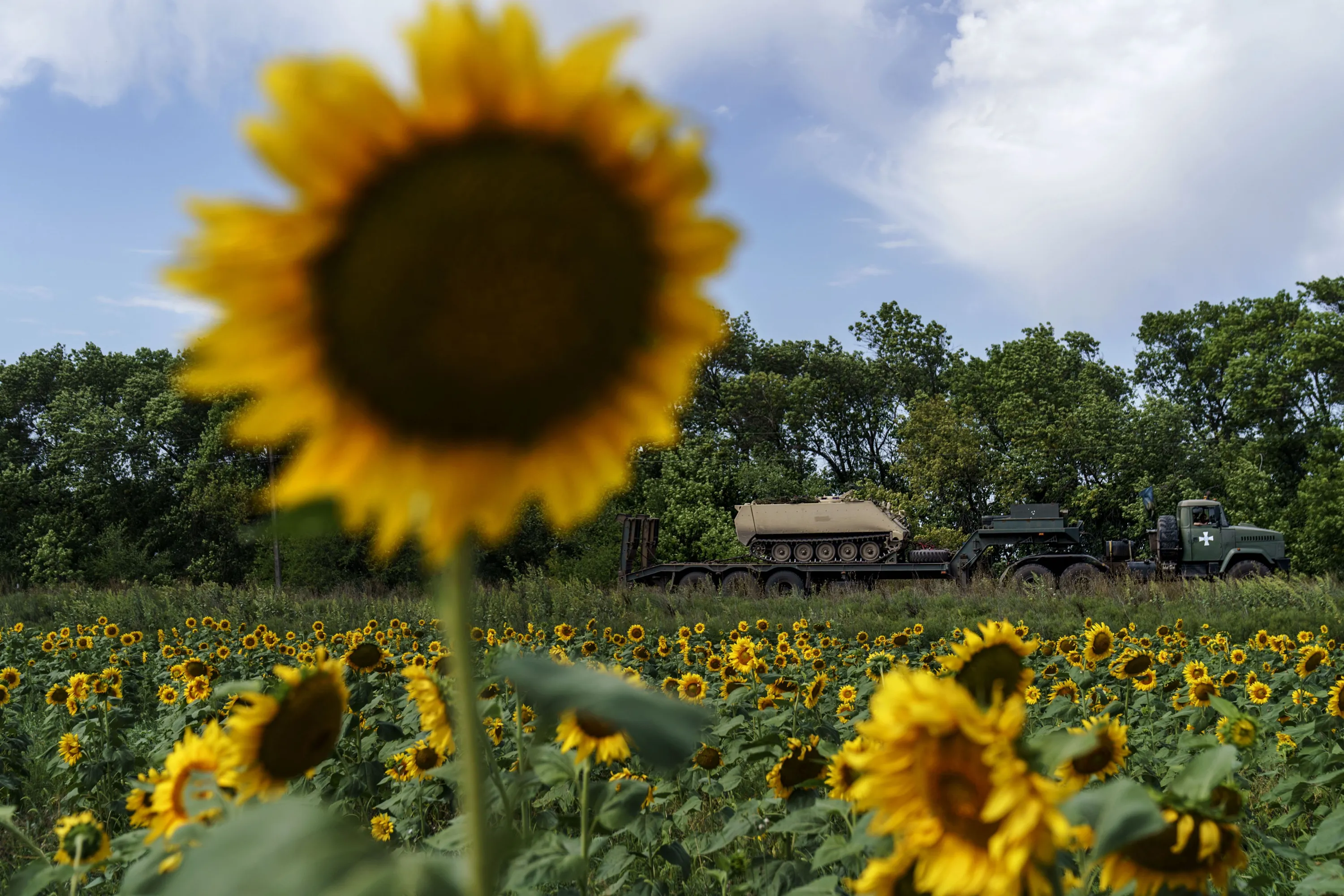 The Day In Photos August 24 2022