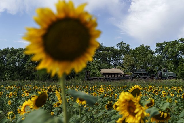 An armored personnel carrier is transported past a sunflower field toward the frontline in the Donetsk region, eastern Ukraine, Monday, August 22, 2022. (Photo by David Goldman/AP Photo)