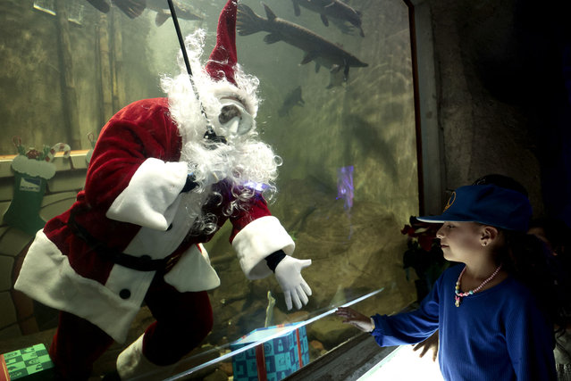 A diver dressed as Santa Claus performs for visitors inside a fish tank at the Guadalajara Zoo aquarium days before the Christmas holidays in Guadalajara, Jalisco state, Mexico, on December 14, 2024. (Photo by Ulises Ruiz/AFP Photo)