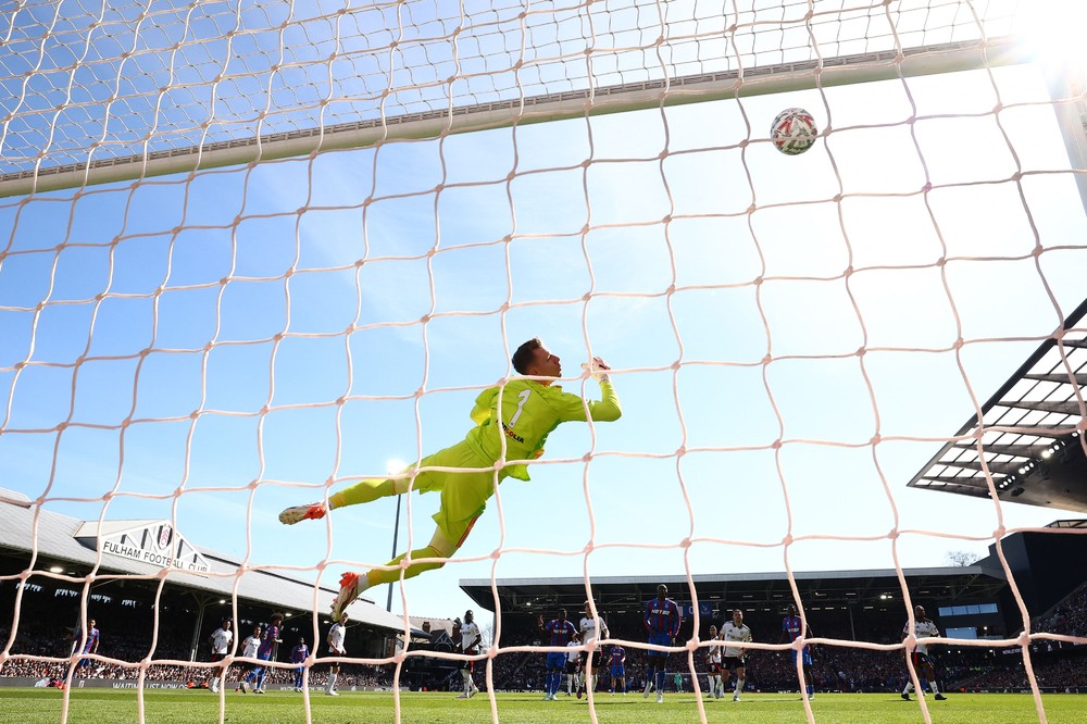 Some Photos: In Motion