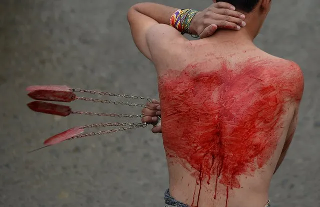 An Afghan Shiite devotee beats his back with chains and blades during commemorations ahead of the Day of Ashura in Kabul on November 3, 2014. Ashura mourns the death of Imam Hussein, a grandson of the Prophet Mohammed, who was killed by armies of the Yazid near Karbala in 680 AD. (Photo by Shah Marai/AFP Photo)