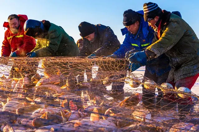 Fishermen catch fishes at a fishing site on ice-sealed Chagan Lake on December 26, 2022 in Songyuan, Jilin Province of China. (Photo by Zhang Jingfeng/VCG via Getty Images)
