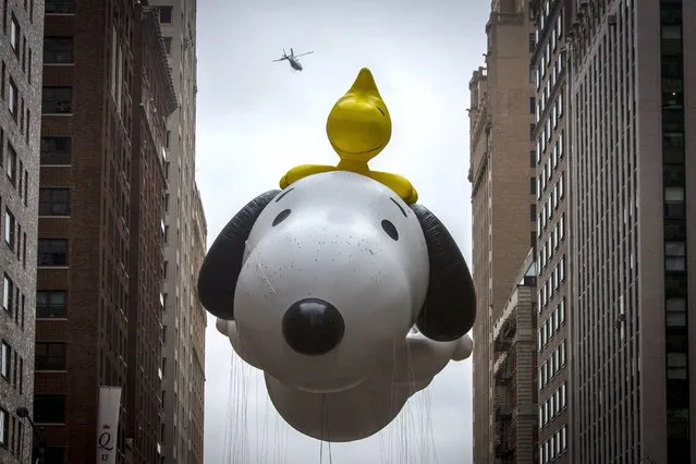 The Snoopy balloon floats down Sixth Avenue during the 88th Annual Macy's Thanksgiving Day Parade in New York November 27, 2014. (Photo by Andrew Kelly/Reuters)