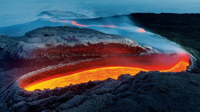 Winner – Earth’s Environments: Etna’s river of fire by Luciano Gaudenzio, Italy. From a great gash on the southern flank of Mount Etna, lava flows within a huge lava tunnel, re-emerging further down the slope as an incandescent red river, veiled in volcanic gases. Gaudenzio described the vent as resembling “an open wound on the rough and wrinkled skin of a huge dinosaur”. (Photo by Luciano Gaudenzio/Wildlife Photographer of the Year 2020)