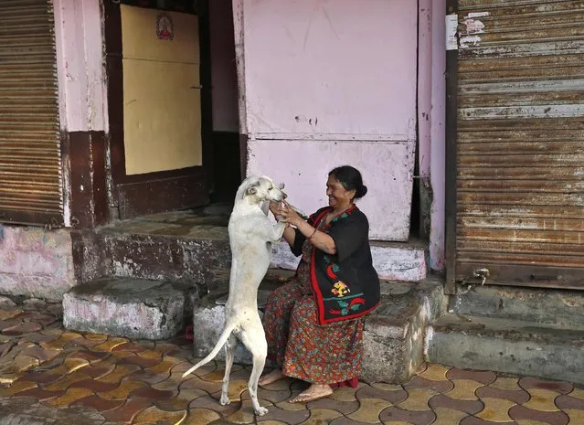 A local resident plays with a stray dog outside her house in the morning in the western Indian city of Ahmedabad December 19, 2014. (Photo by Amit Dave/Reuters)