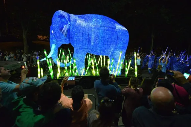 A giant light sculpture of an Asian elephant is driven through the central business district of Sydney to celebrate the 100th year anniversery of Taronga Zoo on October 15, 2016. The parade of ten giant animal light sculptures represented 10 of the most endangered species in the world to highlight the conservation efforts of Taronga Zoo. (Photo by Peter Parks/AFP Photo)