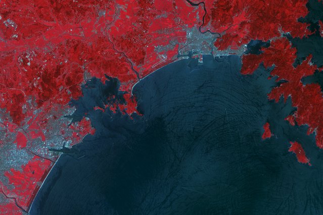 A false colour image taken by NASA's Terra satellite shows the city of Ishinomaki, northern Japan (top R) in this August 8, 2008 file photo. (Photo by Reuters/NASA)