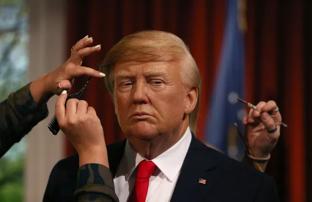 Gallery assistants pose, pretending to put the finishing touches to the hair and make-up of a waxwork of U.S. President-elect Donald Trump, during a media event at Madame Tussauds in London, Britain January 18, 2017. (Photo by Neil Hall/Reuters)
