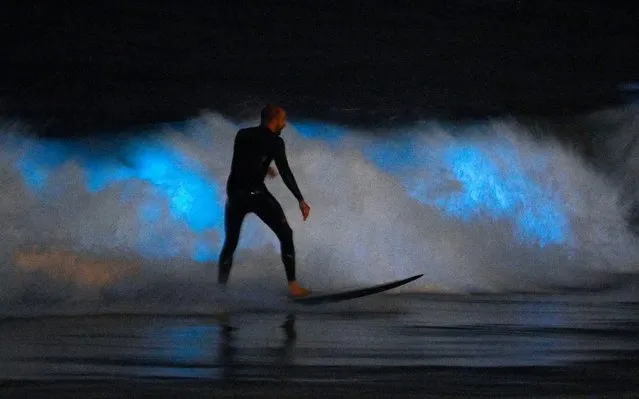 A surfer rides a wave as bioluminescent plankton lights up the surf around him during the coronavirus outbreak, Thursday, April 30, 2020, in Newport Beach, Calif. California Gov. Gavin Newsom on Thursday temporarily closed Orange County's coastline after large crowds were seen there. (Photo by Mark J. Terrill/AP Photo)