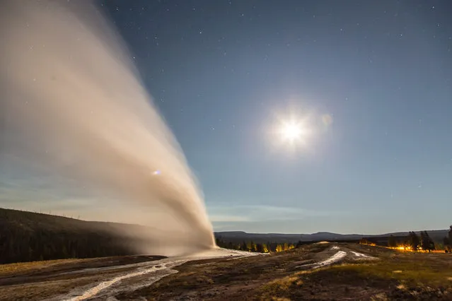 “Geyser eruption at night”. The eruption of old faithful geyser at night. Location: Old faithful geyser, Yellowstone National Park. (Photo and caption by Yang Li/National Geographic Traveler Photo Contest)