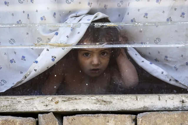 A child peers through a window during a polio vaccination campaign in Kabul, Afghanistan, 15 May 2023. The polio vaccination campaign was launched in 23 provinces of the country, where according to the Ministry of Health, two polio patients were confirmed in 2022, and two so far in 2023. Repeated immunizations have protected millions of children from polio, allowing almost all countries in the world to become polio-free, aside from the two endemic countries of Pakistan and Afghanistan, according to UNICEF. (Photo by Samiullah Popal/EPA/EFE)