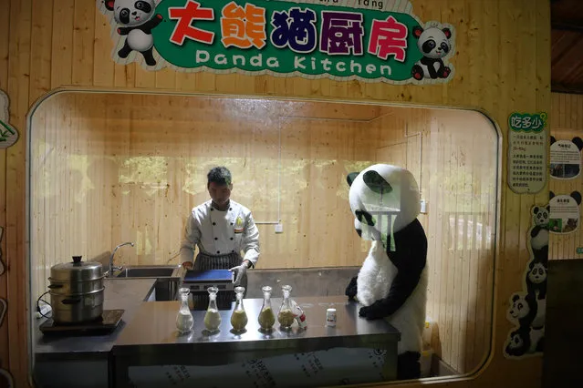 Keepers prepare food for giant pandas at the Yunnan Wildlife Park on July 3, 2018 in Kunming, Yunnan Province of China. Yunnan Wildlife Park opened a kitchen for giant pandas. The visitors can have a close look at the preparation process when keepers prepare food for giant pandas in the kitchen. (Photo by Liu Ranyang/China News Service/VCG)
