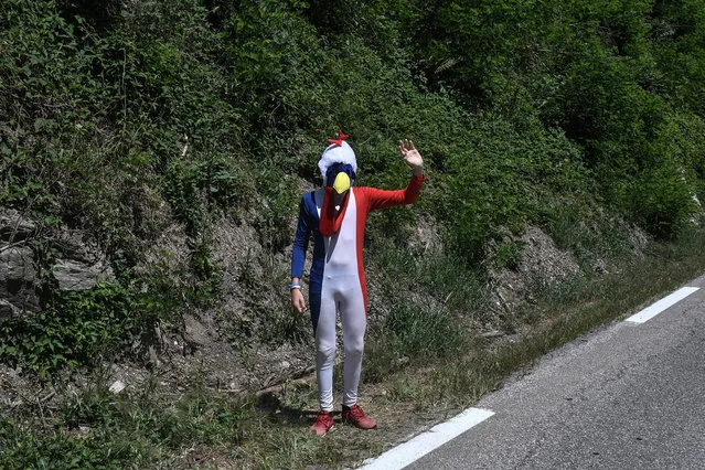 A spectator dressed in a fancy chicken costume in the colors of the French flag, waves as he stands on the side of the route during the eleventh stage of the 105th edition of the Tour de France cycling race between Albertville and La Rosiere, French Alps, on July 18, 2018. (Photo by Jeff Pachoud/AFP Photo)