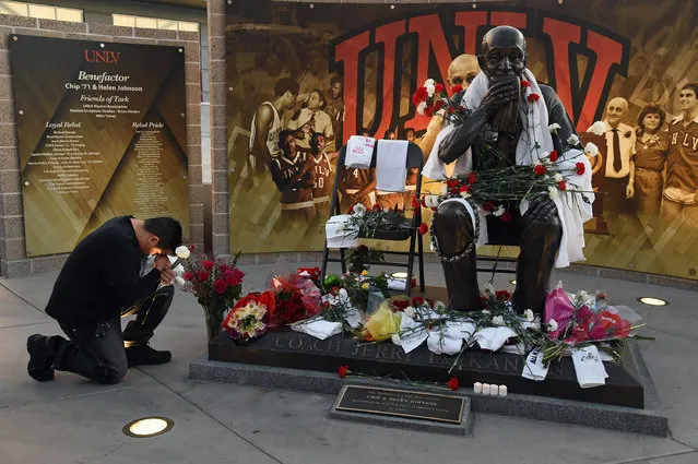 UNLV student Caesar Castillo kneels by a statue of Jerry Tarkanian outside the Thomas & Mack Center at UNLV during a gathering of fans for the Naismith Hall of Fame college basketball head coach February 11, 2015 in Las Vegas, Nevada. (Photo by Ethan Miller/Getty Images) 