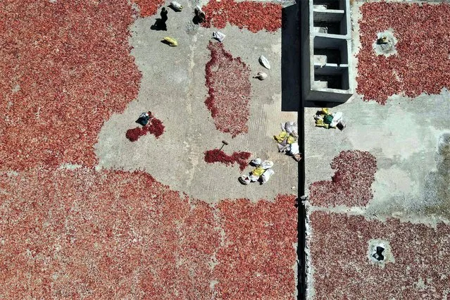 An aerial picture shows people spreading hot red peppers on a roof to dry to make paste and flakes, products the rebel-held northwestern Syrian province of Idlib is renowned for, in al-Mastumah town on August 5, 2023. (Photo by Aaref Watad/AFP Photo)