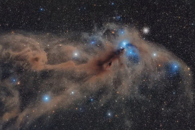Stars and nebulae category winner. Corona Australis Dust Complex by Mario Cogo. (Photo by Mario Cogo/2018 Astronomy Photographer of the Year)